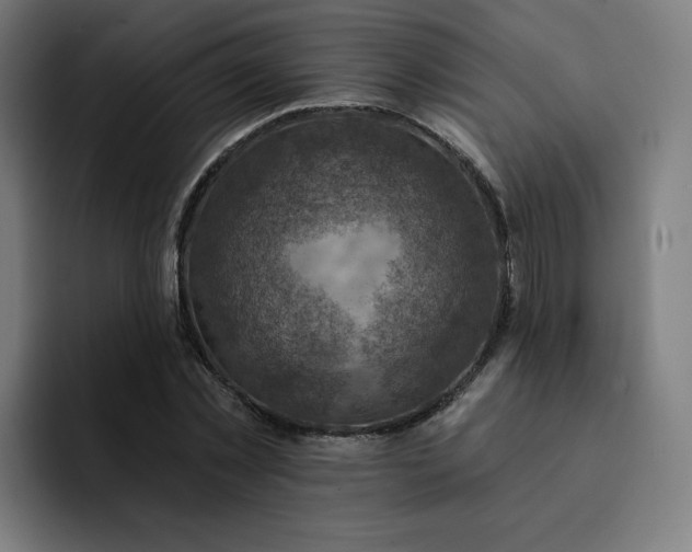 X0000093170781200710101211