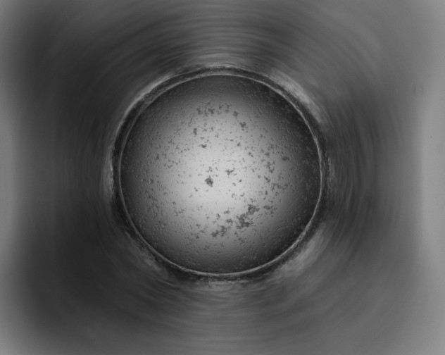X0000093170782200710101211