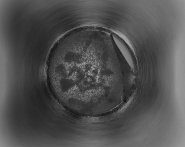 X0000093170783200710101211