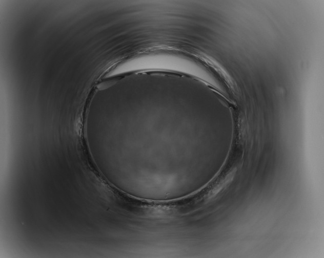 X0000093170785200710101211