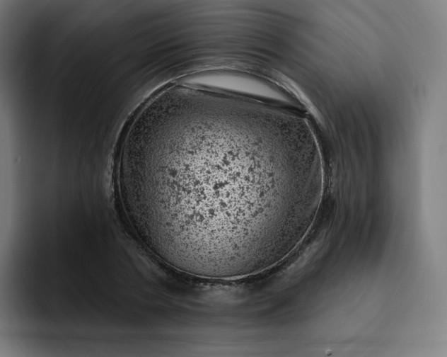 X0000093170786200710101211