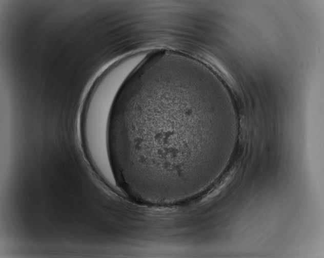 X0000093170788200710101211