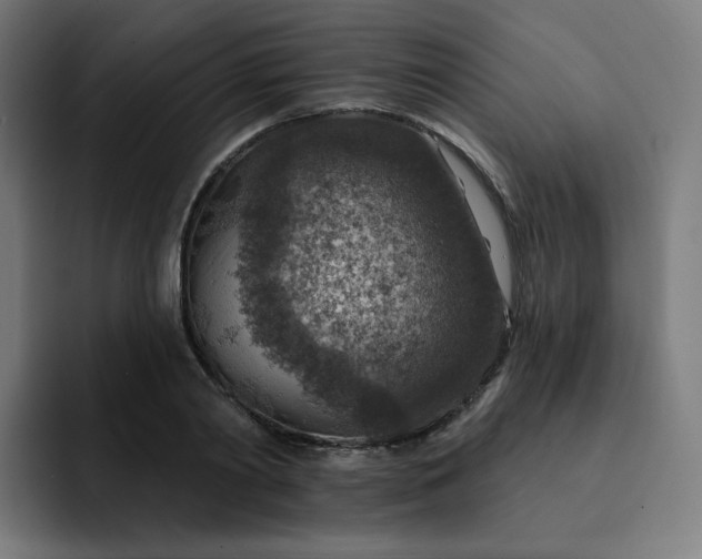 X0000093170790200710101211