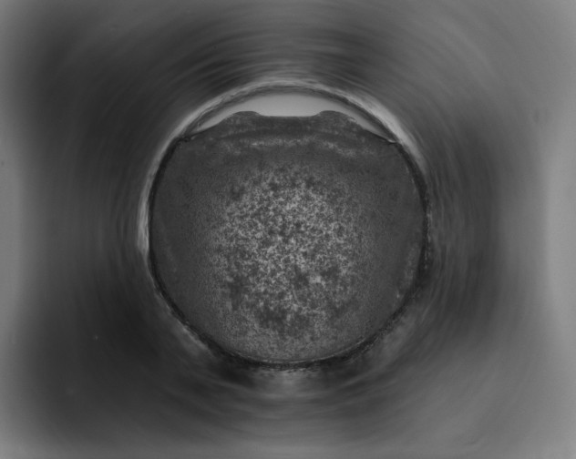 X0000093170791200710101211