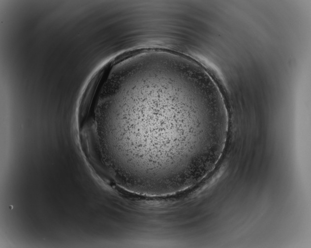 X0000093170792200710101211