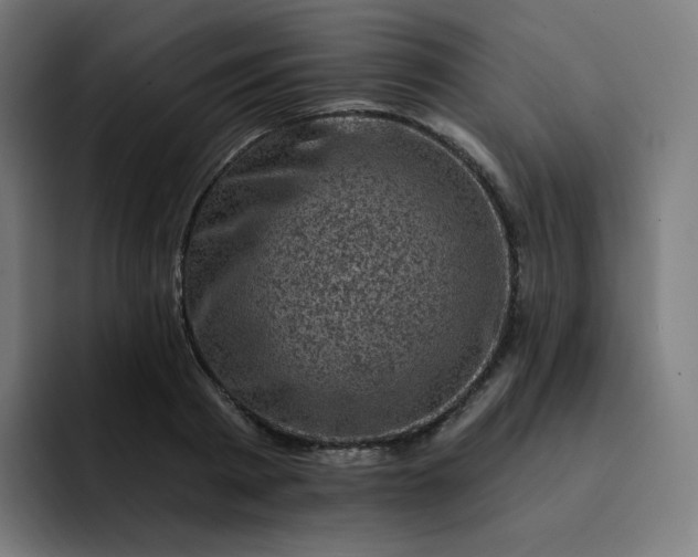 X0000093170793200710101211