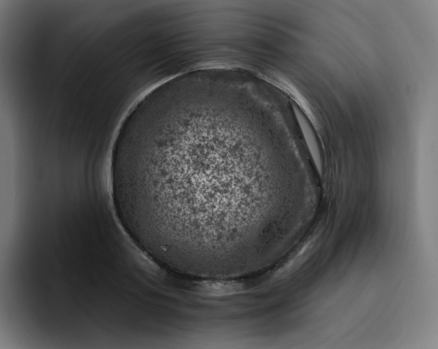 X0000093170795200710101211