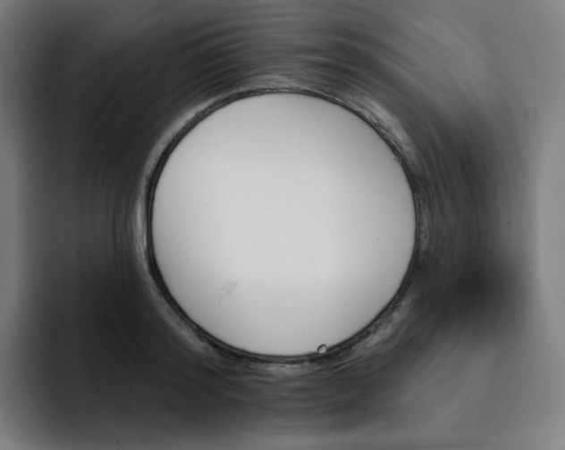 X0000093170796200710101211