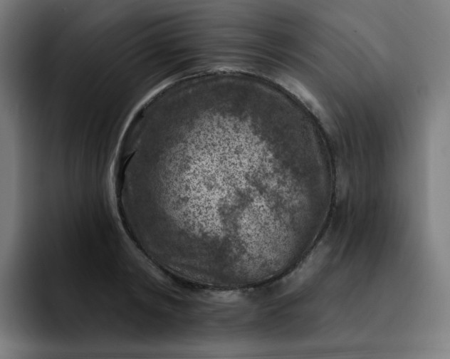 X0000093170798200710101211