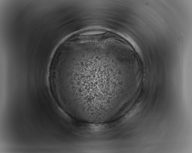 X0000093170799200710101211