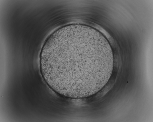 X0000093170807200710101211