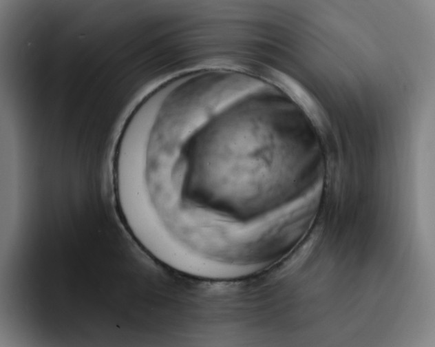 X0000093170808200710101211