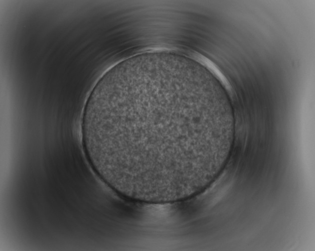 X0000093170810200710101211