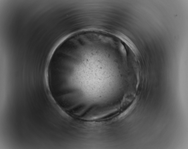 X0000093170812200710101211
