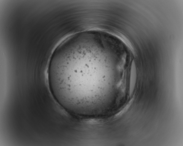 X0000093170814200710101211