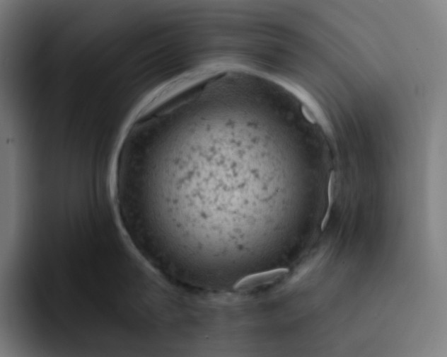 X0000093170815200710101211