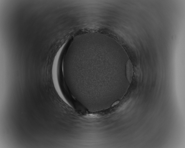 X0000093170818200710101210