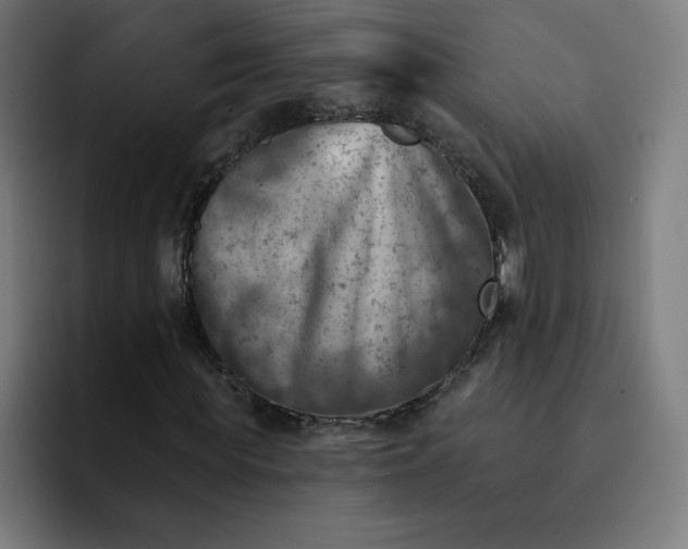 X0000093170819200710101210