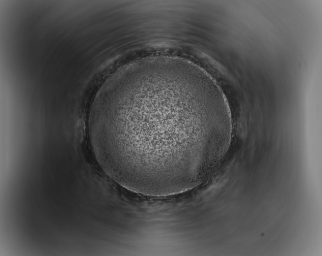 X0000093170821200710101210