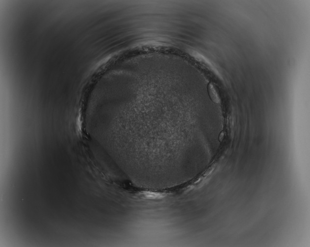 X0000093170822200710101210