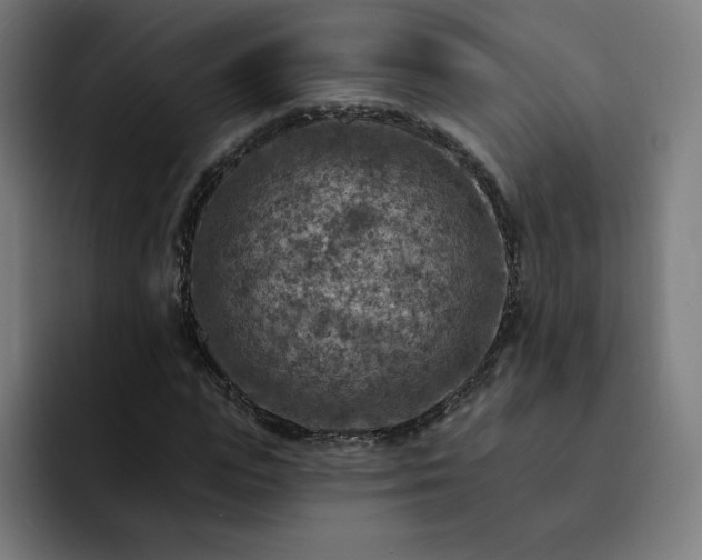 X0000093170823200710101210