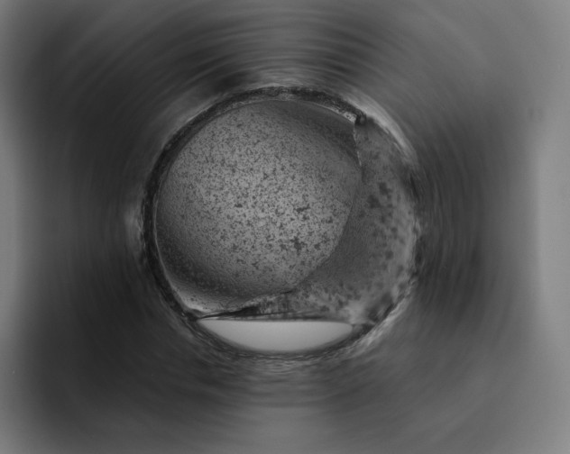 X0000093170826200710101211