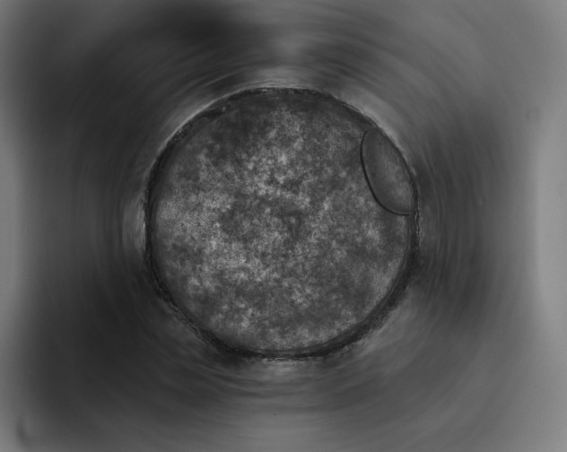 X0000093170829200710101211