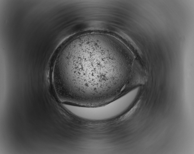 X0000093170830200710101211