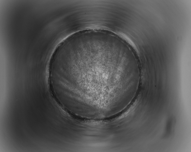 X0000093170831200710101211