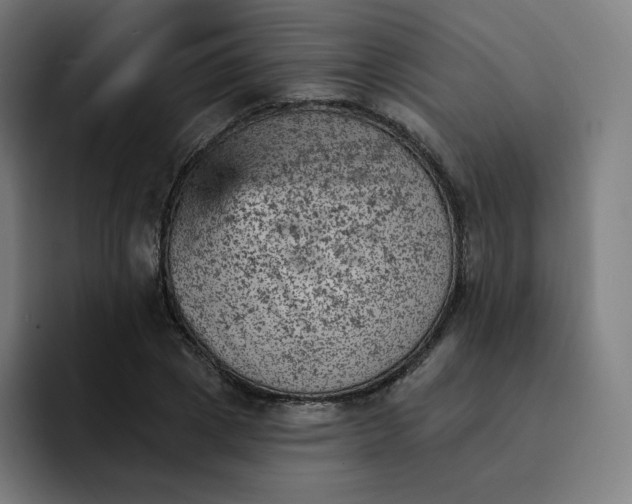 X0000093170833200710101211