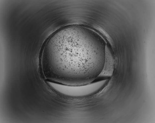 X0000093170834200710101211