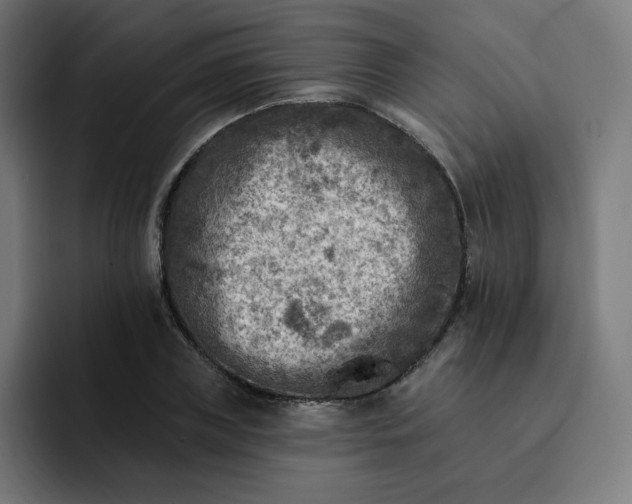 X0000093170835200710101211