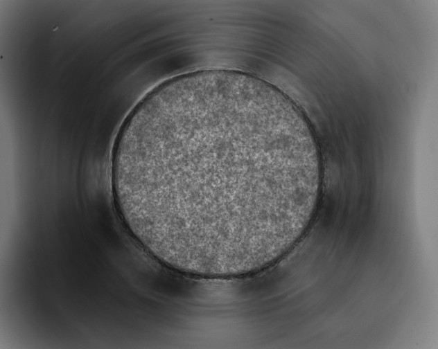 X0000093170836200710101211