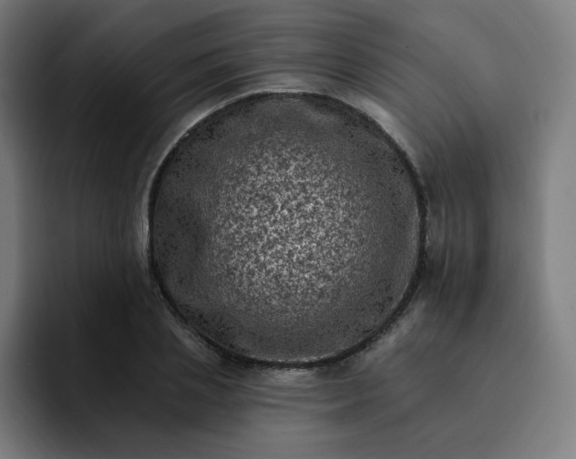 X0000093170837200710101211