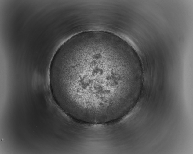 X0000093170839200710101211