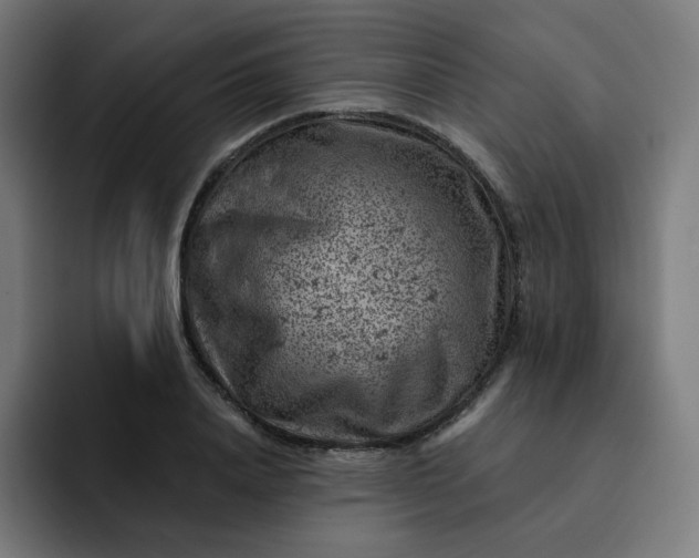 X0000093170840200710101211