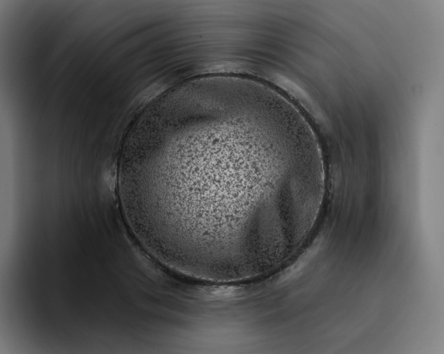 X0000093170841200710101211
