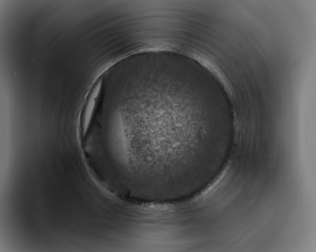 X0000093170842200710101211