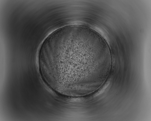 X0000093170843200710101211