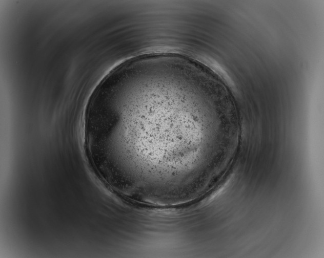 X0000093170844200710101211