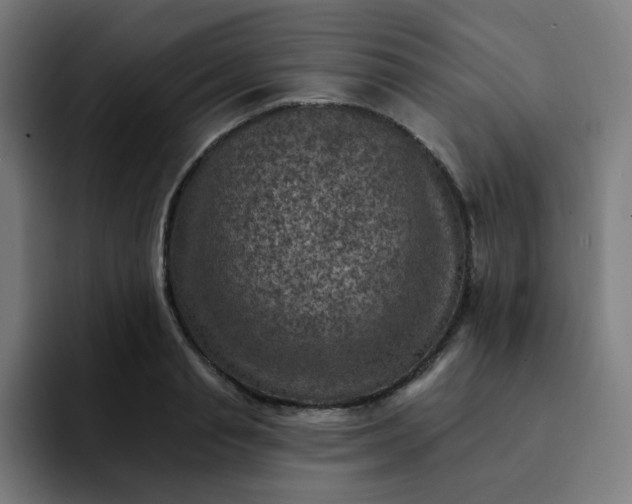 X0000093170845200710101211
