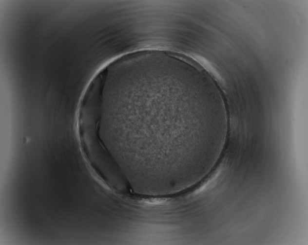 X0000093170846200710101211