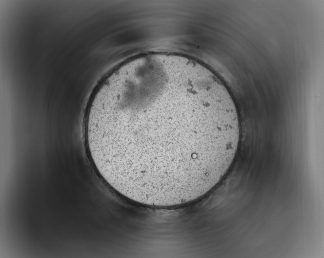 X0000093170848200710101211