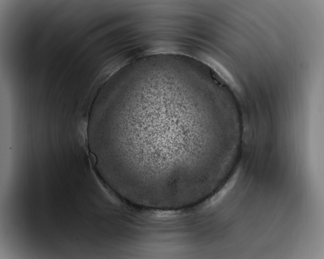 X0000093170849200710101211