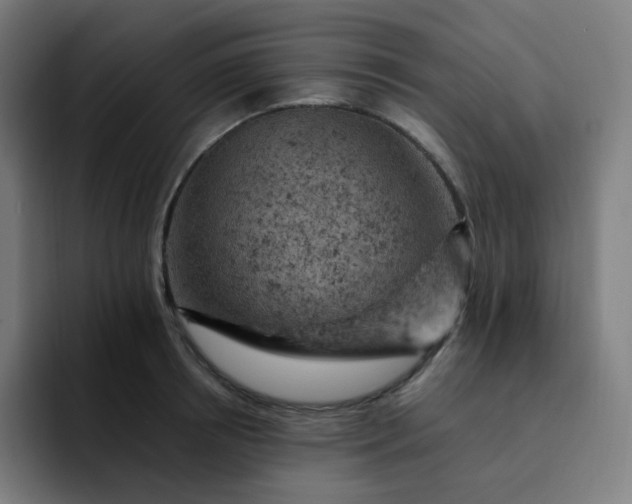 X0000093170850200710101211