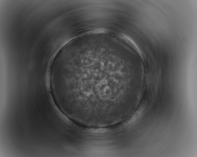X0000093170851200710101211