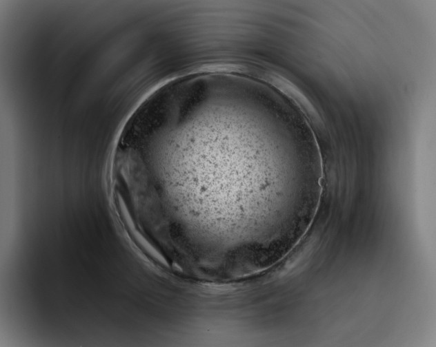 X0000093170852200710101211