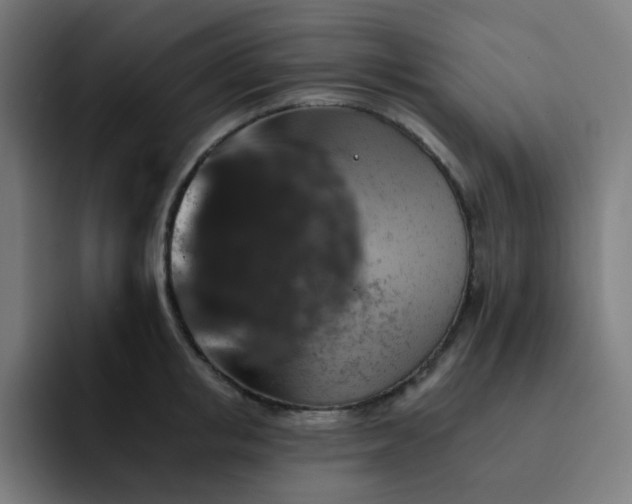 X0000093170853200710101211
