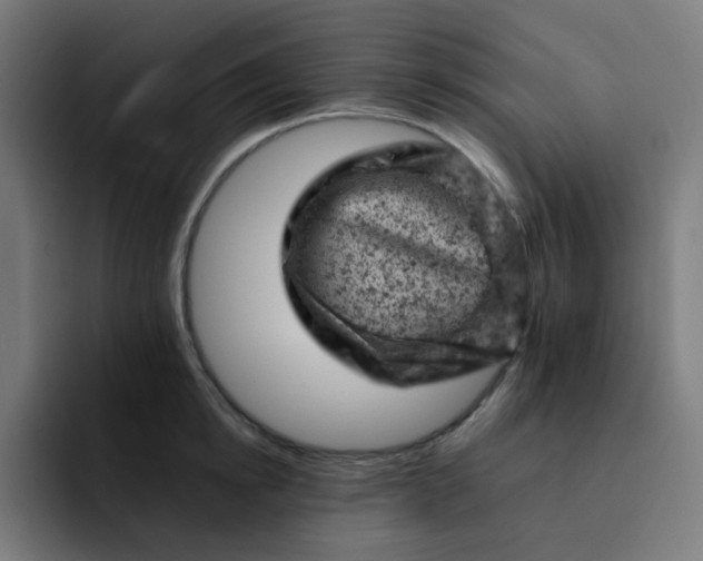 X0000093170854200710101211