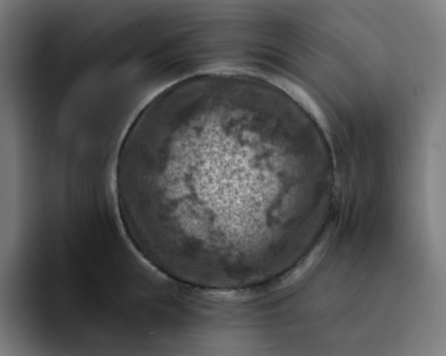 X0000093170855200710101211